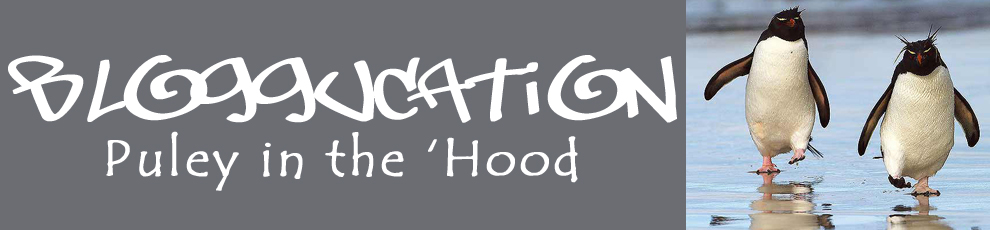 Bloggucation