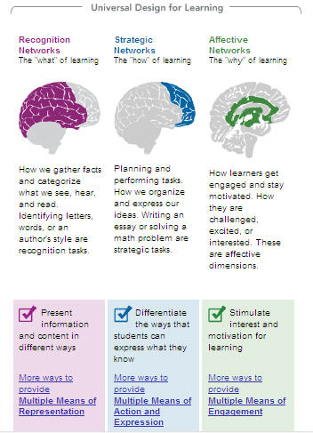 Resources and Tools to Support Assessment, Differentiated Instruction (DI), and Universal Design for Learning (UDL)